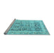 Sideview of Machine Washable Persian Light Blue Traditional Rug, wshtr3647lblu