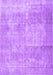 Persian Purple Traditional Rug, tr3648pur