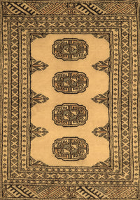 Southwestern Brown Country Rug, tr364brn