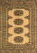 Machine Washable Southwestern Brown Country Rug, wshtr364brn