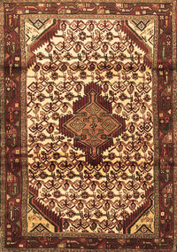 Persian Brown Traditional Rug, tr3656brn