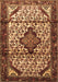 Machine Washable Persian Brown Traditional Rug, wshtr3656brn