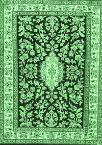 Medallion Emerald Green Traditional Rug, tr365emgrn