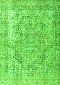 Medallion Green Traditional Rug, tr3663grn