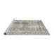 Sideview of Machine Washable Traditional Pale Silver Gray Rug, wshtr3668