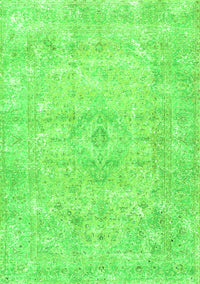 Persian Green Traditional Rug, tr3669grn