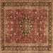 Square Persian Brown Traditional Rug, tr3672brn