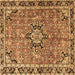 Square Machine Washable Persian Brown Traditional Rug, wshtr3674brn