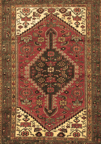 Persian Brown Traditional Rug, tr3676brn