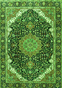 Medallion Green Traditional Rug, tr3678grn