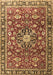 Machine Washable Persian Brown Traditional Rug, wshtr3679brn