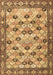 Persian Brown Traditional Rug, tr3680brn