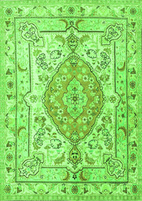 Medallion Green Traditional Rug, tr3683grn