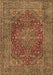 Machine Washable Persian Brown Traditional Rug, wshtr3684brn