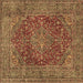 Square Persian Brown Traditional Rug, tr3684brn