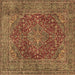 Square Machine Washable Persian Brown Traditional Rug, wshtr3684brn