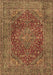 Persian Brown Traditional Rug, tr3684brn