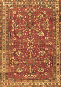 Persian Brown Traditional Rug, tr3689brn