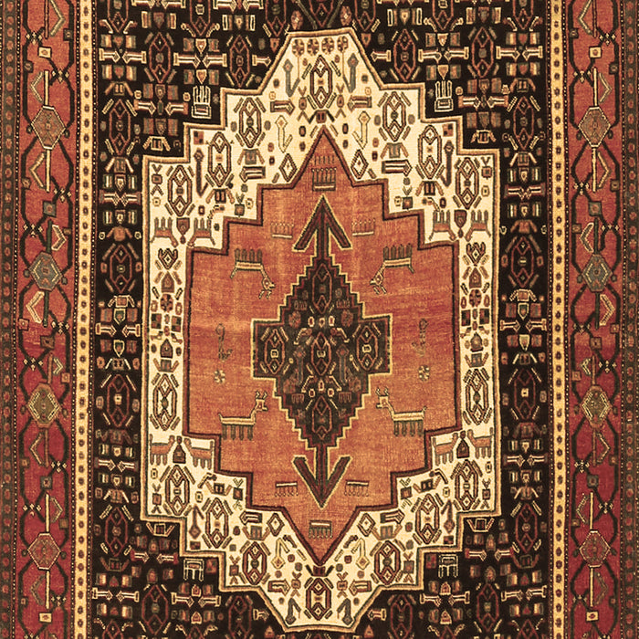 Persian Brown Traditional Rug, tr3692brn