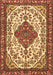 Machine Washable Persian Brown Traditional Rug, wshtr3693brn