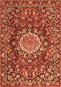 Persian Orange Traditional Rug, tr3695org