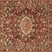 Square Machine Washable Persian Brown Traditional Rug, wshtr3695brn