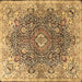 Square Persian Brown Traditional Rug, tr3696brn
