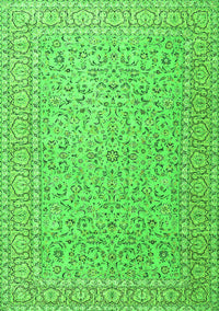 Persian Green Traditional Rug, tr3697grn