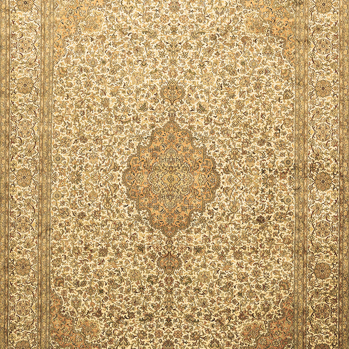 Medallion Brown Traditional Rug, tr369brn
