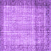 Square Machine Washable Persian Purple Traditional Area Rugs, wshtr3702pur