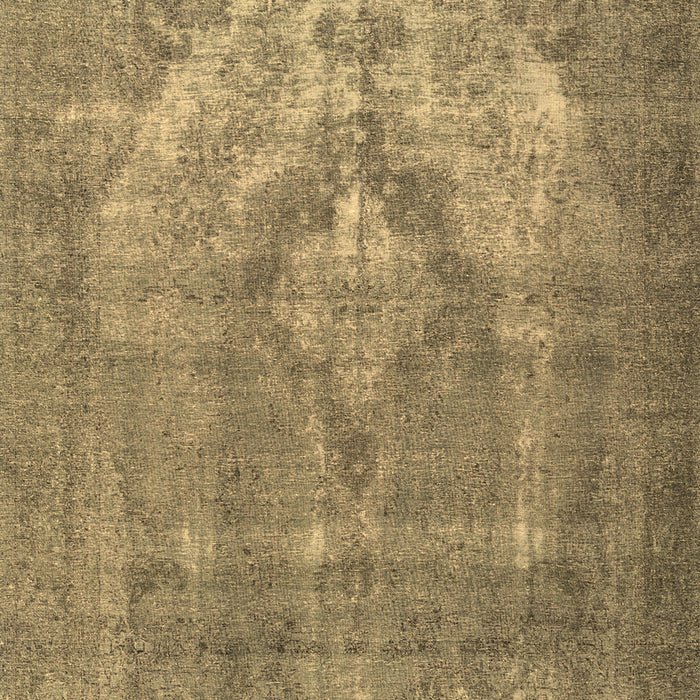 Machine Washable Persian Brown Traditional Rug, wshtr3709brn