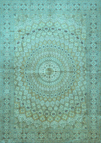 Persian Light Blue Traditional Rug, tr372lblu