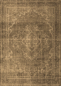 Persian Brown Traditional Rug, tr3733brn