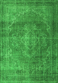 Persian Green Traditional Rug, tr3733grn