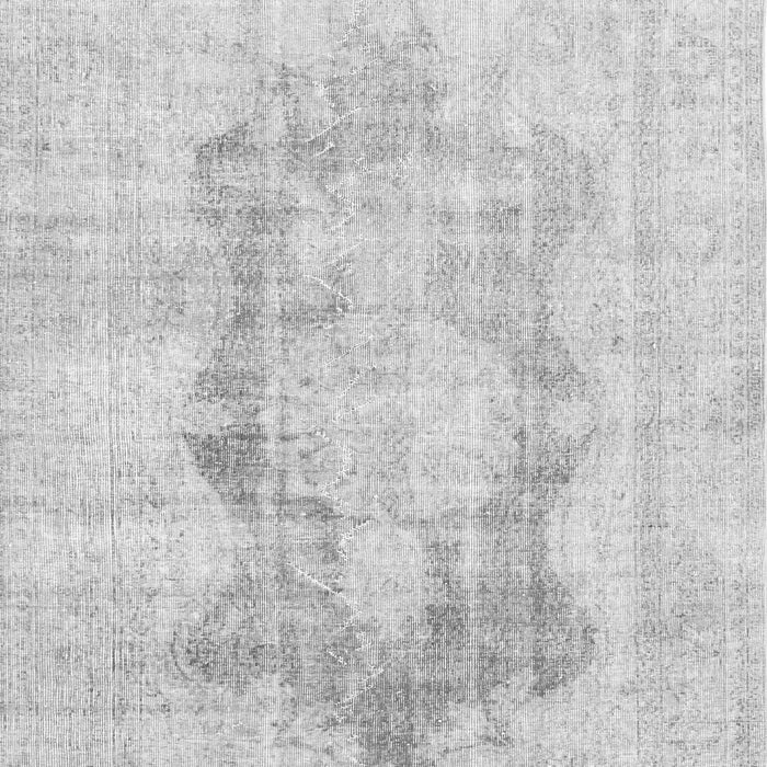 Persian Gray Traditional Rug, tr3734gry