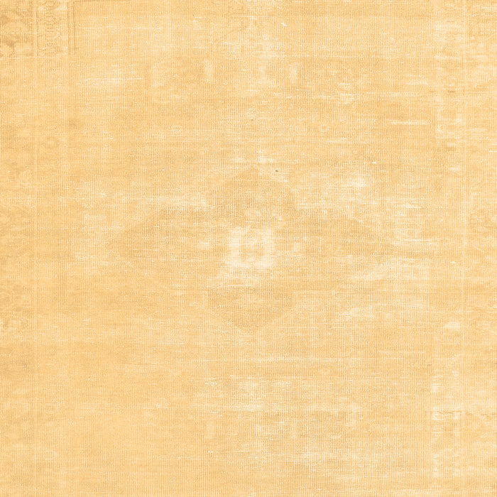 Persian Brown Traditional Rug, tr3736brn