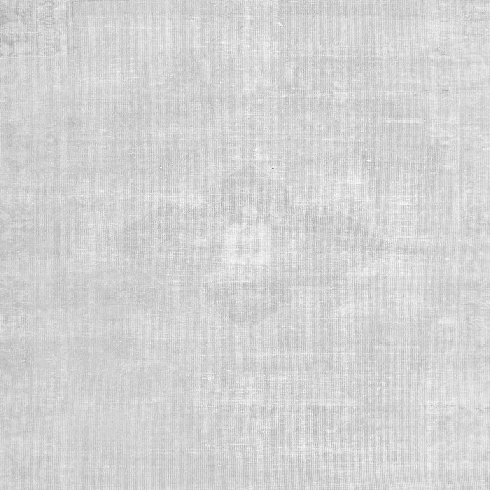 Persian Gray Traditional Rug, tr3736gry