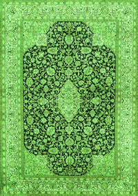 Medallion Green Traditional Rug, tr373grn