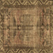 Square Persian Brown Traditional Rug, tr3745brn