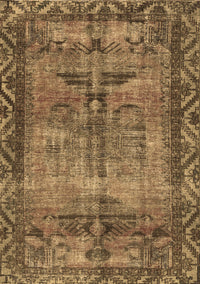 Persian Brown Traditional Rug, tr3745brn