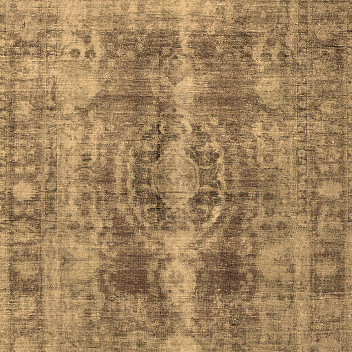 Machine Washable Persian Brown Traditional Rug, wshtr3748brn