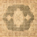 Square Persian Brown Traditional Rug, tr3750brn