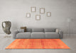 Machine Washable Persian Orange Traditional Area Rugs in a Living Room, wshtr3761org