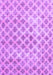 Persian Purple Traditional Rug, tr3762pur