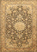 Machine Washable Medallion Brown Traditional Rug, wshtr376brn