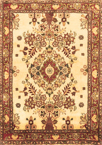 Medallion Brown Traditional Rug, tr3771brn