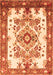 Medallion Orange Traditional Rug, tr3771org