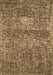 Persian Brown Traditional Rug, tr3778brn