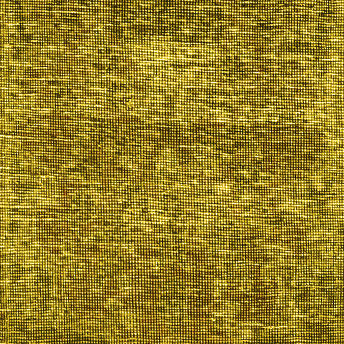 Persian Yellow Traditional Rug, tr3778yw