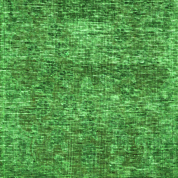 Persian Green Traditional Rug, tr3778grn